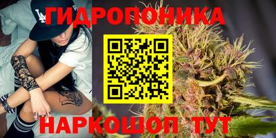 ПСИЛОЦИБИНОВЫЕ ГРИБЫ Чебаркуль
