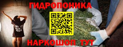 индика Усть-Илимск