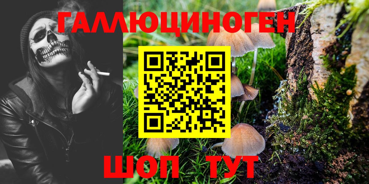 Симферополь  Псилоцибиновые грибы Psilocybine cubensis  Галлюциногенные грибы MAGIC MUSHROOMS  Вход с VPN 